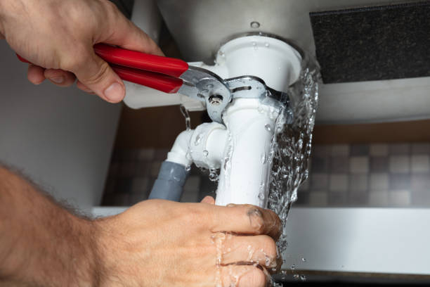 Best Local water damage restoration  in Proctor, MN