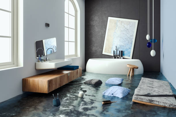 Best Water damage restoration insurance claims  in Proctor, MN