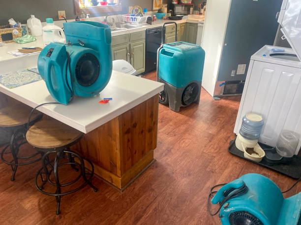 Best 24/7 water damage repair  in Proctor, MN