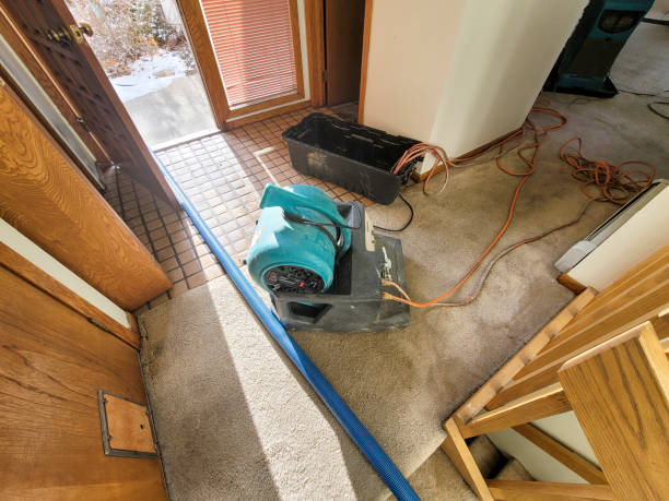 Best Water damage restoration services  in Proctor, MN