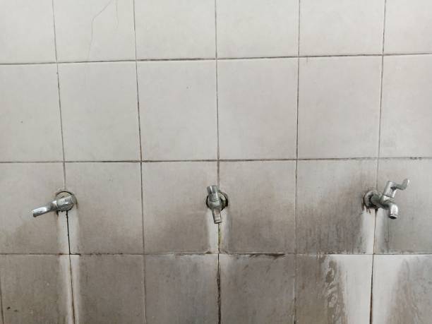 Best Water damage contractors near me  in Proctor, MN