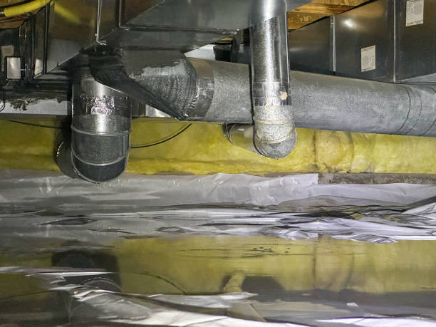 Best Professional water damage repair  in Proctor, MN