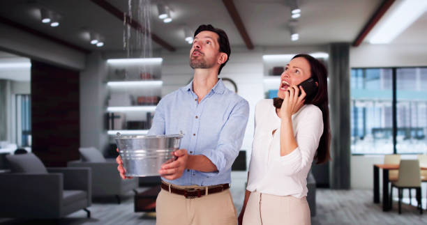 Best Mold removal after water damage  in Proctor, MN